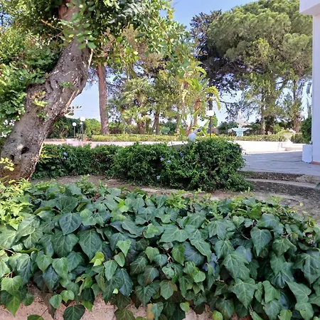 Nunziatella Badia * Trappeto (Sicily)